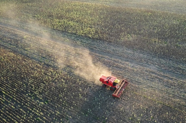 Raccolto di grano nella campagna argentina La Pampa provincia Patagonia Argentina