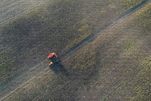 Raccolto di grano nella campagna argentina La Pampa provincia Patagonia Argentina