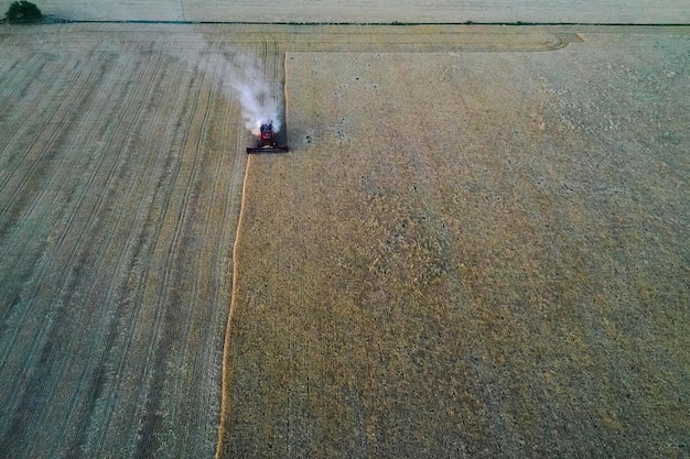 Raccolto di grano nella campagna argentina La Pampa provincia Patagonia Argentina