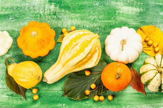 Raccolto di varie zucche mature. Sfondo festivo colorato, giorno del Ringraziamento o Halloween. Vecchio fondo di tavole di legno, vista dall'alto