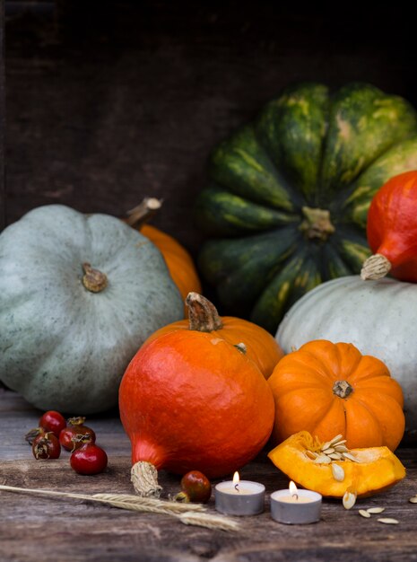 raccolto di zucche colorate, orecchie, candele e biancospino