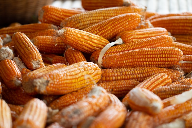 Raccolto trattato Cereale secco con cestino di bambù