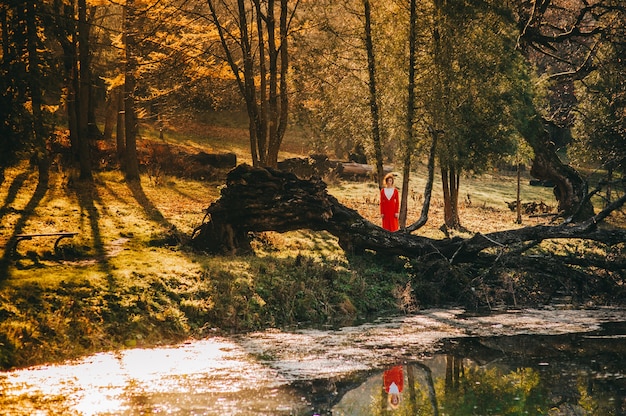 racconto. ragazza redhead fantastica in una foresta misteriosa