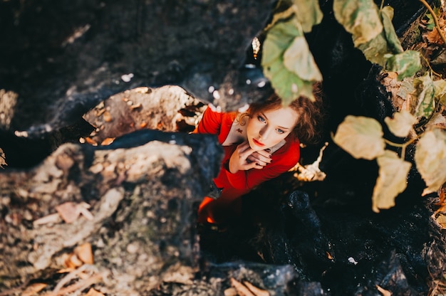 racconto. ragazza redhead fantastica in una foresta misteriosa