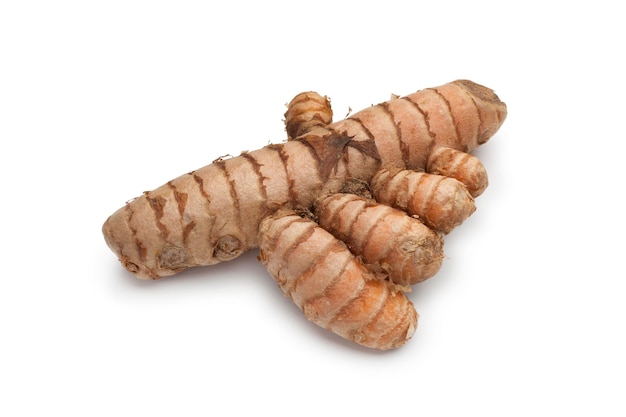 Radice di curcuma fresca