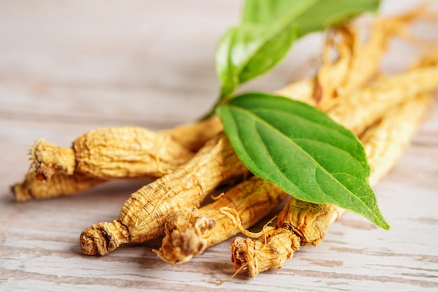 Radici di ginseng e cibo sano a foglia verde