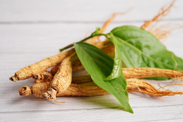 Radici di ginseng e cibo sano a foglia verde