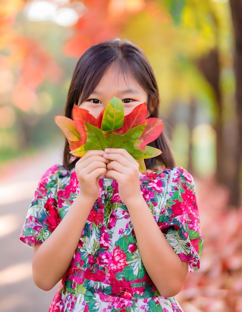 Ragazza asiatica con le foglie d'autunno che coprono il viso mentre guarda la telecamera e sorride