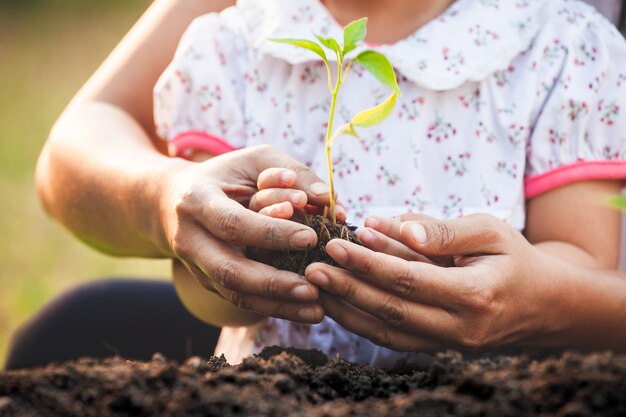 Ragazza asiatica e genitore del piccolo bambino che tengono insieme e che piantano le giovani piantine nel suolo nero