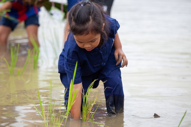 Ragazza asiatica sveglia del bambino che impara piantare riso nel giacimento del riso con divertimento e felicità