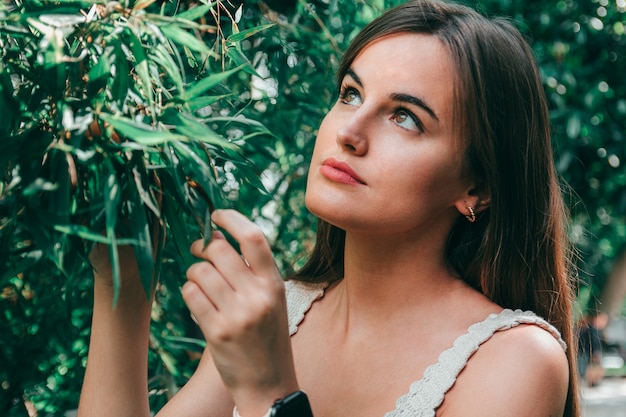 Ragazza attraente con capelli lunghi castani che tocca e che cerca le foglie di un albero