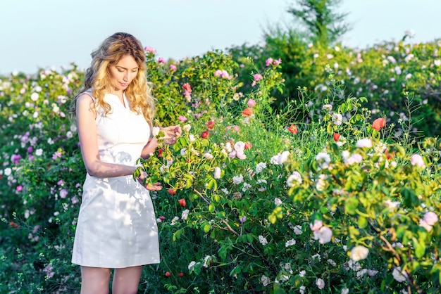 Ragazza bionda sorridente felice in vestito bianco in un campo di rosa selvaggio