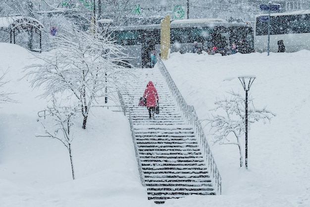 Ragazza cammina nel parco durante una nevicata