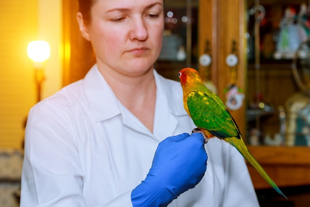 Ragazza carina al veterinario con il suo pappagallo