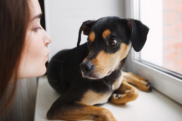 Ragazza carina e cane consanguineo si siede e guarda fuori dalla finestra. Il concetto di protezione degli animali senzatetto.