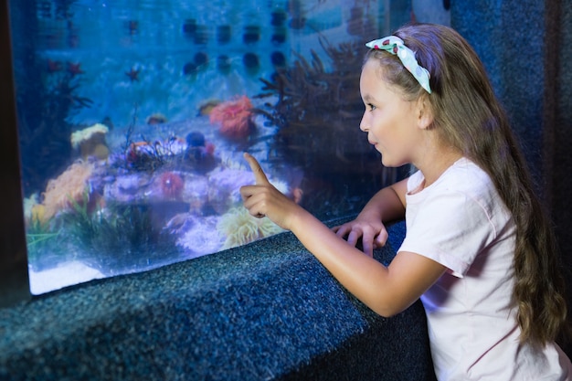 Ragazza carina guardando il serbatoio di pesce