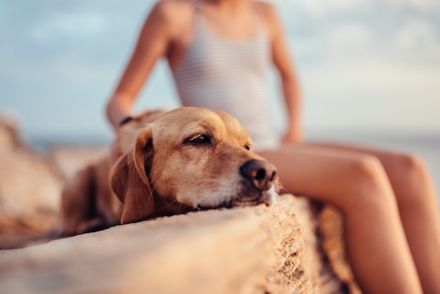 Ragazza che abbraccia il suo cane mentre era seduto sulla roccia in riva al mare