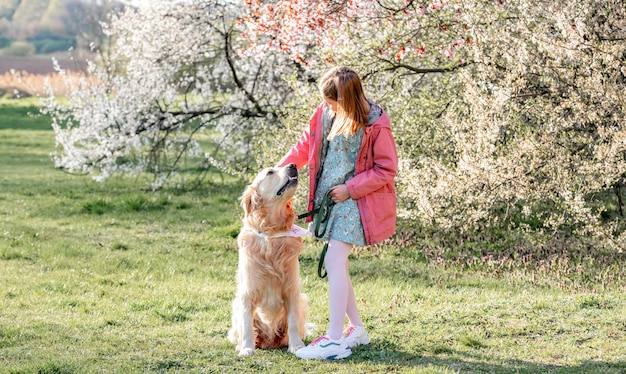 Ragazza che accarezza il cane golden retriever che cammina all'aperto nel parco primaverile con alberi in fiore Graziosa bambina con doggy labrador in natura con fiori nella giornata di sole