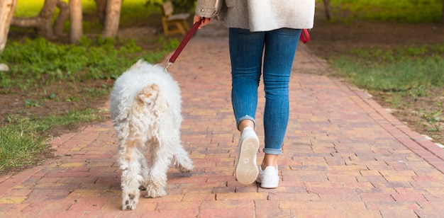 Ragazza che cammina con il suo cane in un parco