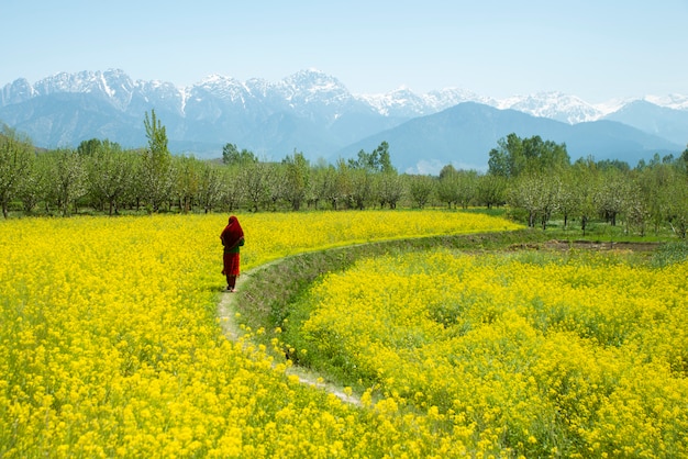 Ragazza che cammina nel campo della senape isolato sul fondo della collina della neve