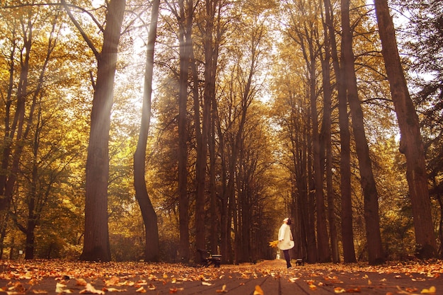 ragazza che cammina nel parco in autunno