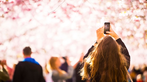 Ragazza che fotografa i ciliegi giapponesi a Copenaghen