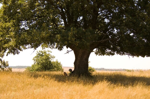 Ragazza che legge sotto l&#39;albero