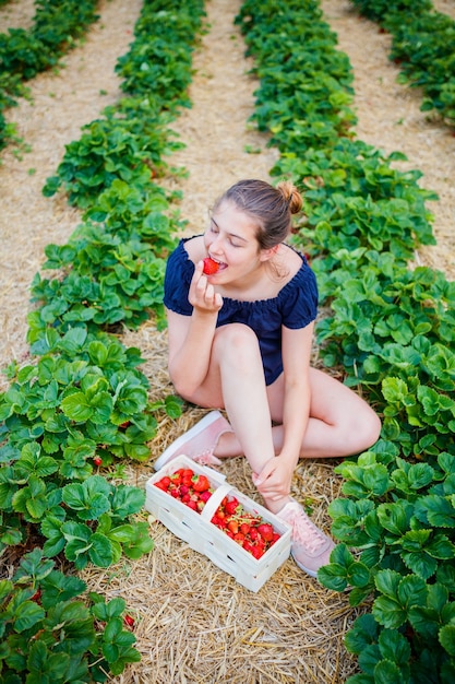 ragazza che mangia una fragola mentre raccogli le fragole in un campo