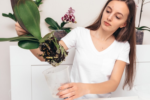 Ragazza che pianta i fiori in un vaso trasparente