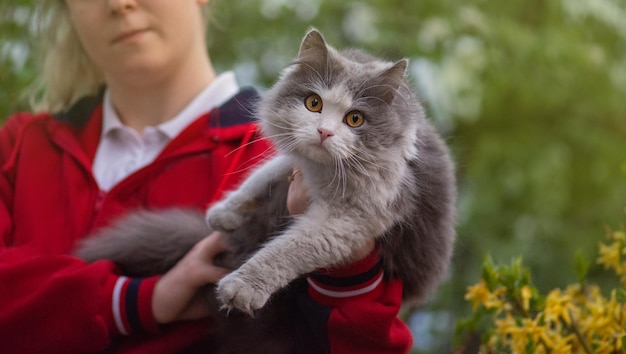 Ragazza che si diverte con il suo gattino dolce all'aperto al tramonto Adorabile gatto a casa nelle mani di una ragazza