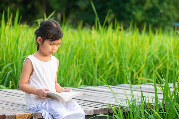 ragazza che si siede e libro di lettura sul ponticello di legno nel giacimento del riso sull&#39;insieme del sole