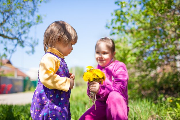 Ragazza che si siede sull'erba e che dà i fiori gialli di fioritura del dente di leone al ragazzino in tuta all'aperto sulla natura verde in giornata soleggiata e limpida di estate. Concetto di infanzia felice