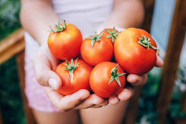 Ragazza che tiene i pomodori maturi rossi nelle sue mani