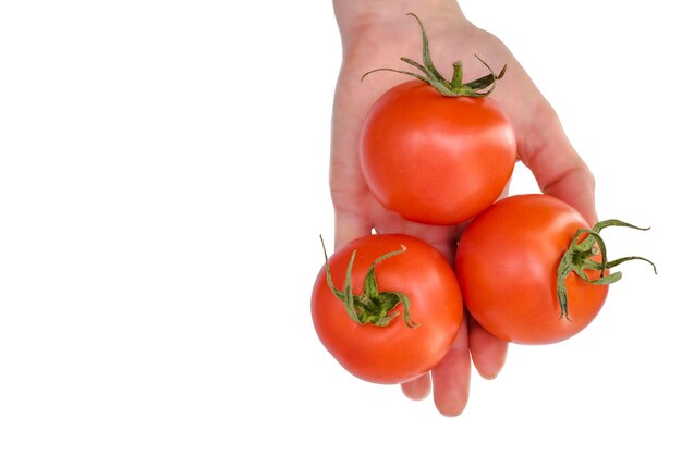 Ragazza che tiene pomodori rossi isolati su sfondo bianco