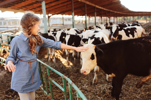 Ragazza che tocca il vitello in fattoria