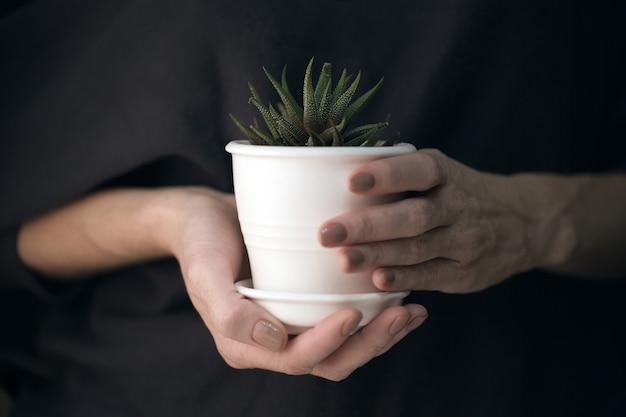 Ragazza con fiori succulenti in vaso