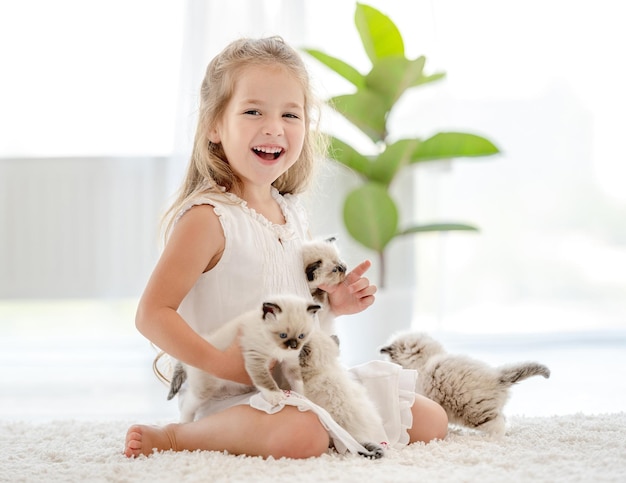 Ragazza con gattini ragdoll