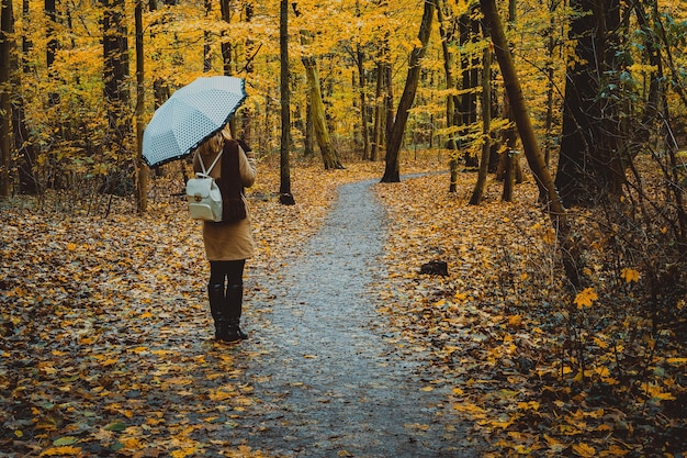 Ragazza con l'ombrello sul sentiero forestale colorato autunnale