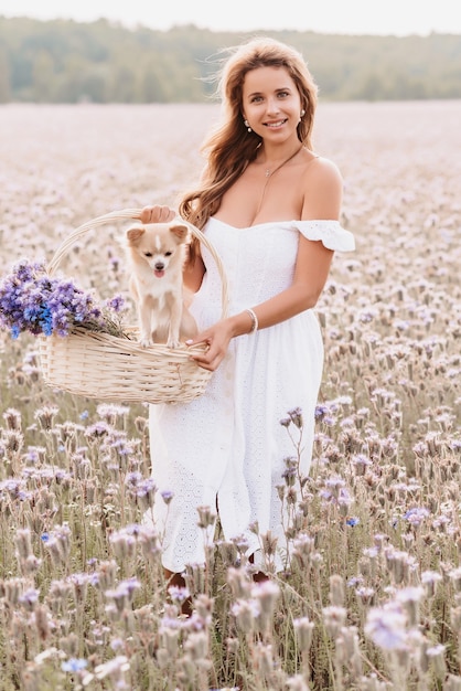 Ragazza con un cane chihuahua in un cesto con un mazzo di fiori in natura nel campo estivo