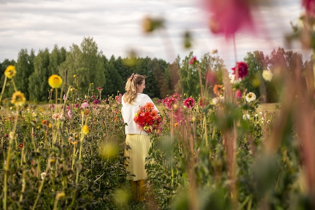 Ragazza con un mazzo di dalie nel campo