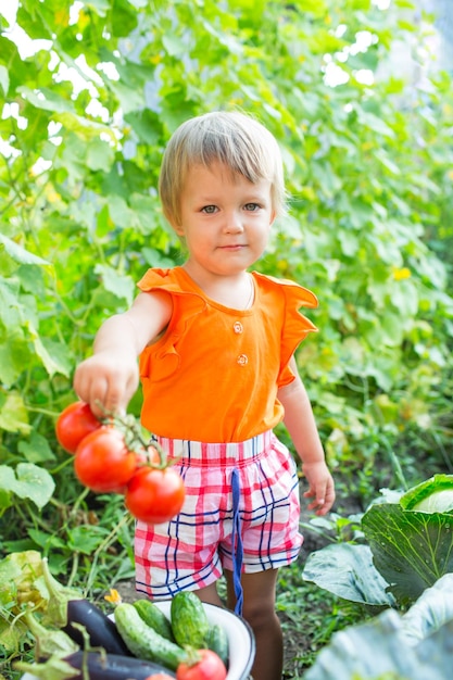 Ragazza con verdure raccolte in giardino