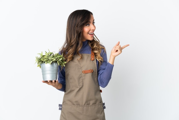 Ragazza del giardiniere che tiene una pianta isolata sulla parete bianca che intende realizzare la soluzione mentre alza un dito