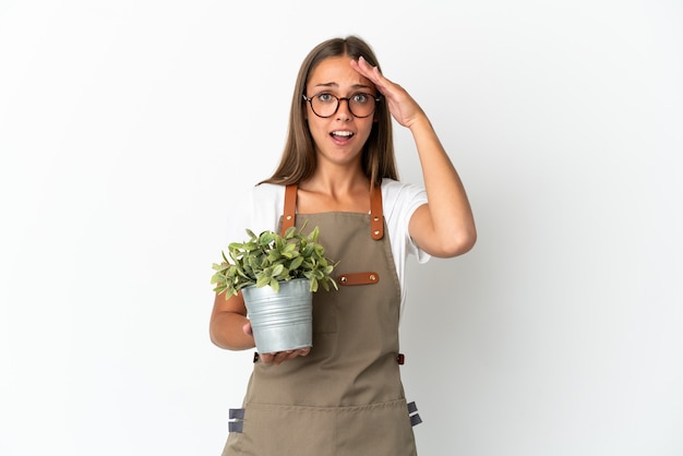 Ragazza del giardiniere che tiene una pianta sopra fondo bianco isolato con l'espressione di sorpresa