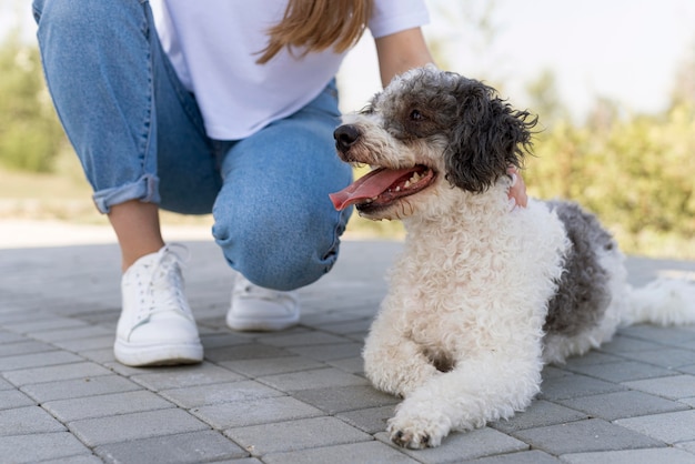 Ragazza del primo piano con cane carino