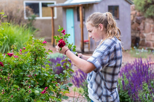 Ragazza di 13 anni che taglia le rose dal giardino formale