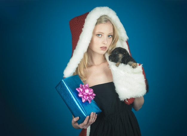 Ragazza di babbo natale con scatola regalo e cucciolo in mano isolato su sfondo blu signora di natale con