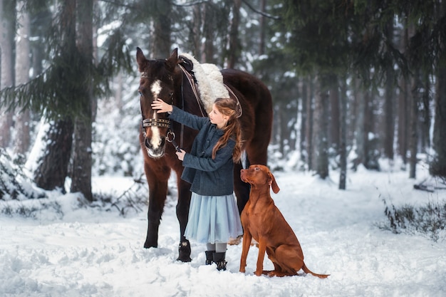 ragazza e cavallo marrone in inverno in natura