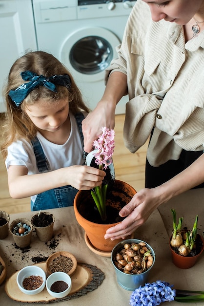 Ragazza e donna trapiantano fiori e piante d'appartamento piantano bulbi giacinti microverdi insieme