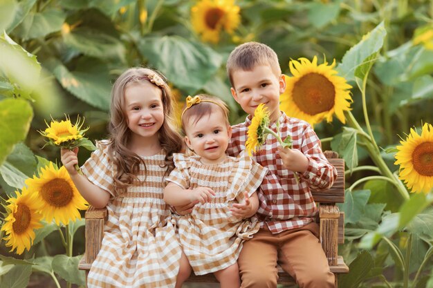 ragazza e ragazzo si siedono su una panchina, divertendosi tra i girasoli in fiore al tramonto