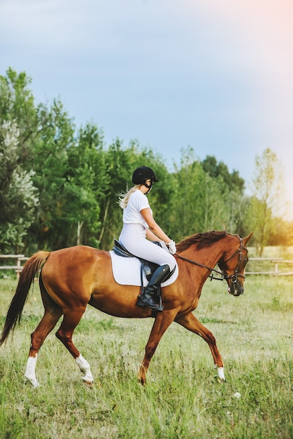 Ragazza fantino a cavallo